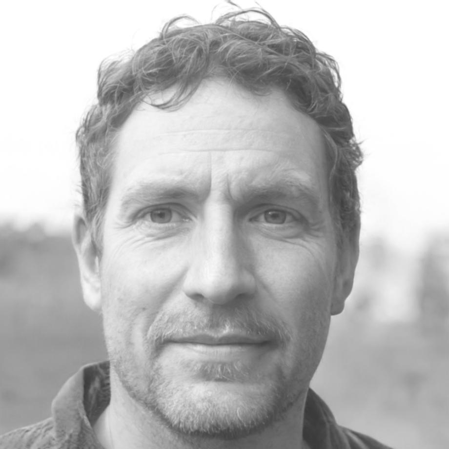 Henrik Zimmermann, Finanzexperte und Mentor